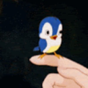 Meet your Posher, Meghan